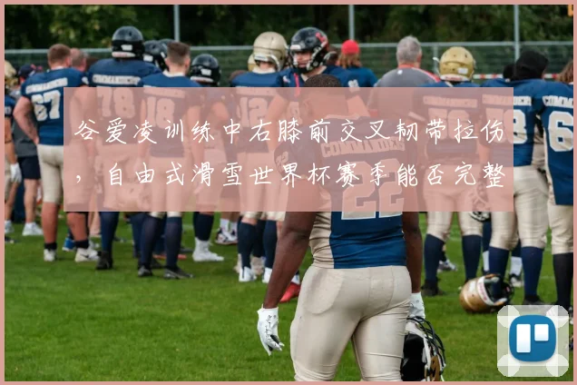谷爱凌训练中右膝前交叉韧带拉伤，自由式滑雪世界杯赛季能否完整出战？